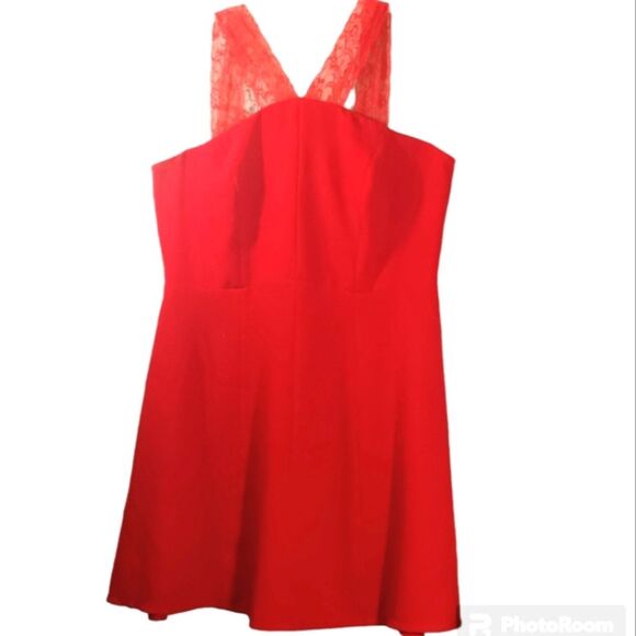 New York & Co Plus Size Red V-neck  Lace Strap Fit and Flare Dress Sz 20 - Picture 3 of 9